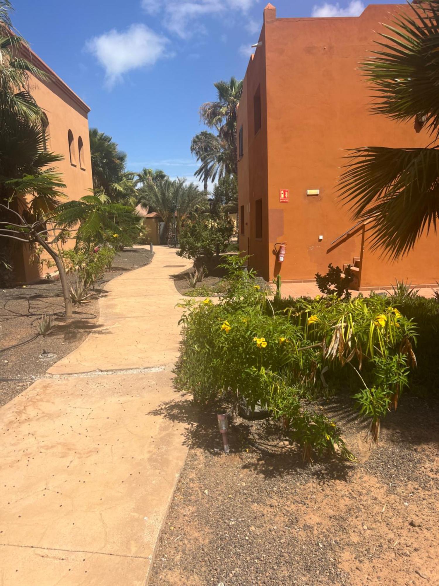 Paraiso Del Mar Corralejo Esterno foto